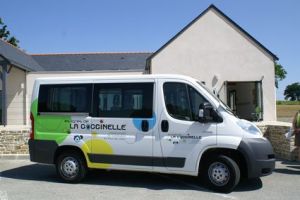 Coccinelle site