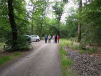 Dom service jeux petanque light