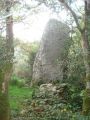 Elliant-menhir