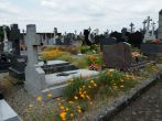 Guipel fleurissement-cimetiere2 Bruded site