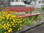 Guipel fleurissement-cimetiere4 Bruded site