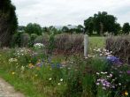 Guipel fleurissement cimetiere Bruded site