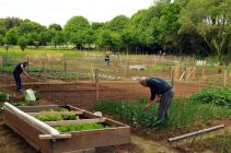 Jardins Familiaux CCAS Elven