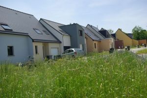 LaChapelleT ZACauxoiseaux 3-sitebruded4.JPG