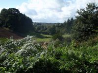 Landudal-paysage7.JPG