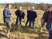 Malguenac-plantation-bocage