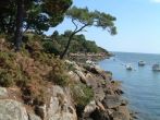 Riec-sur-belon littoral2