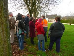 deambulation LaBouexiere site