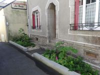 massif pied de mur.JPG
