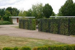 visite cimetieres7.JPG