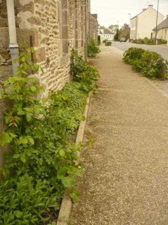tl_files/contenu/images/Communes/Lauzach/lauzach_gestion_zero_phyto_2.JPG