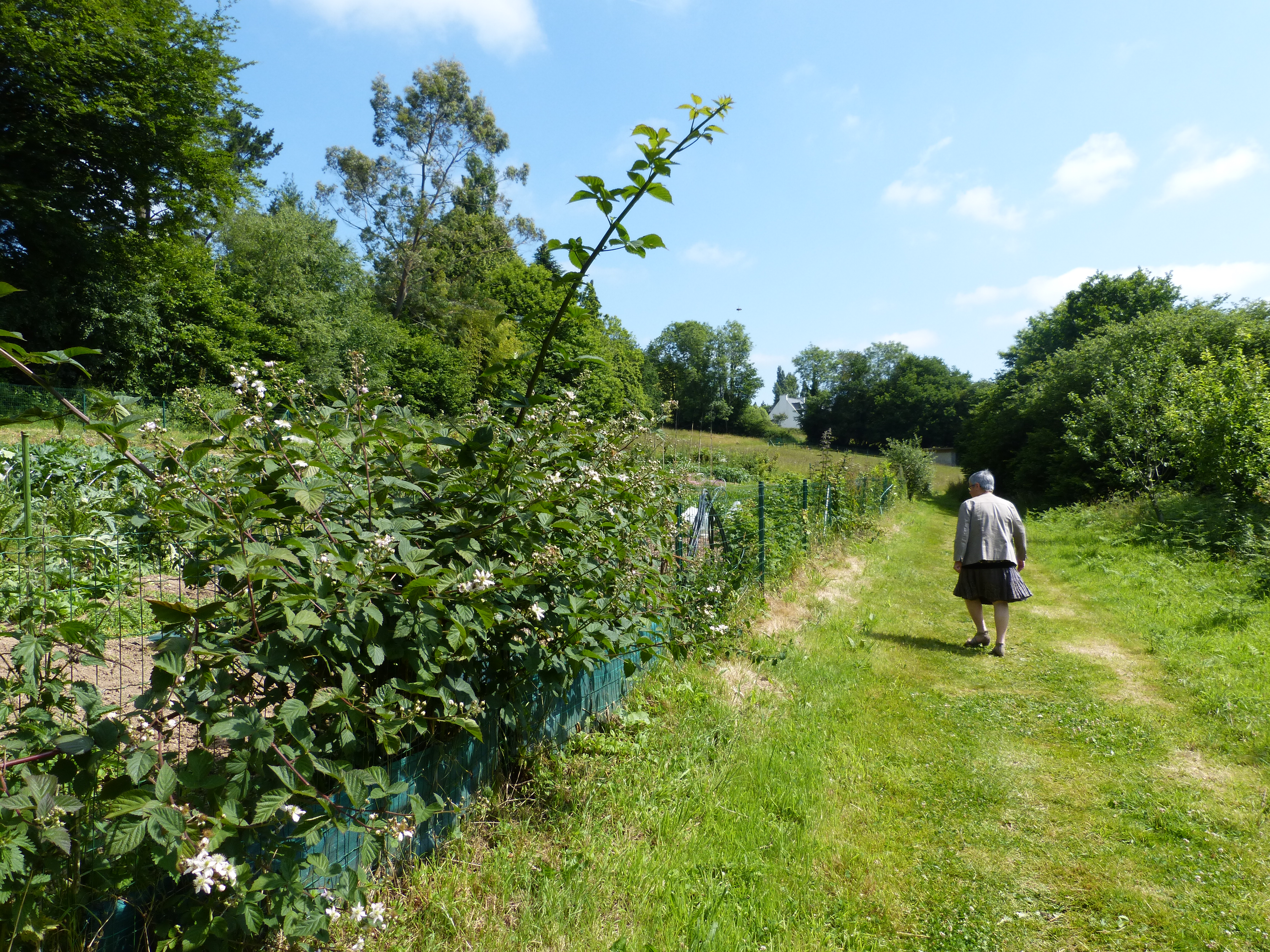 tl_files/contenu/images/Communes/Loperhet/Zero phyto/Loperhet_2015-06-17 (7).jpg
